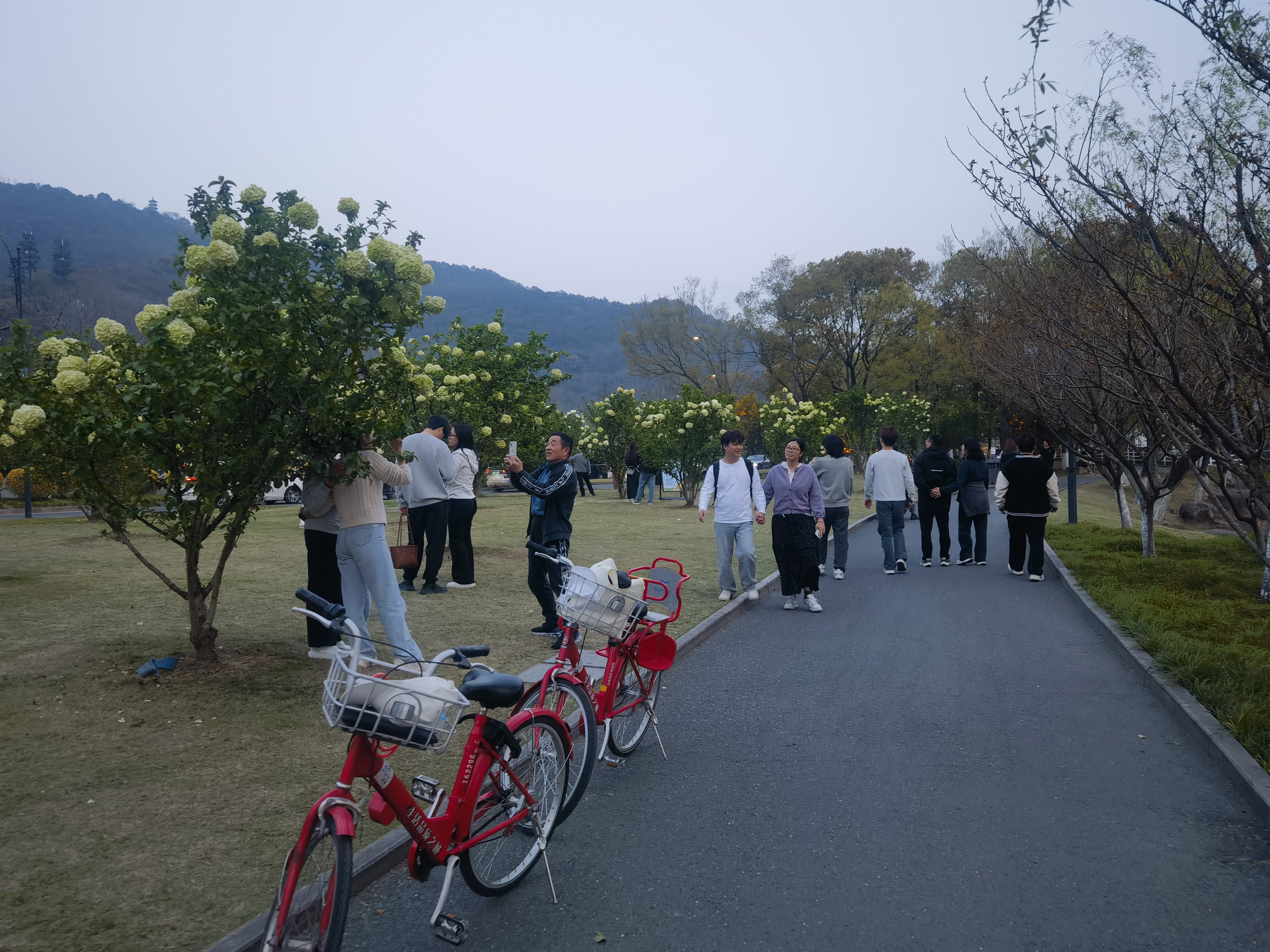 请输入图片描述